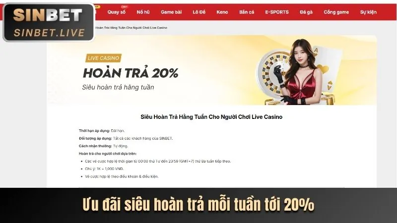 Hình ảnh khuyến mãi và ưu đãi đặc biệt tại hbbet